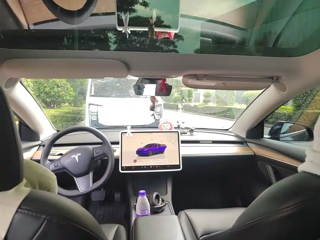 Tesla Model 3 — миниатюра 19