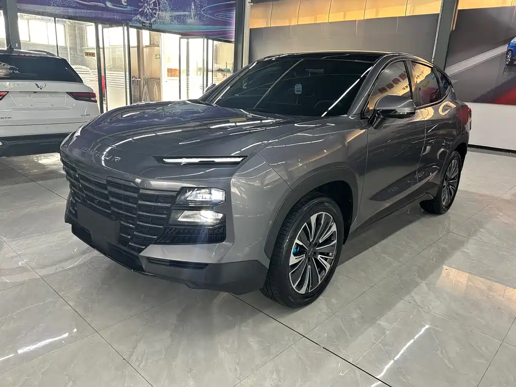 Jetour Dasheng i-DM — миниатюра 6