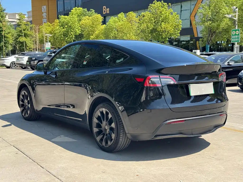 Tesla Model Y — миниатюра 12