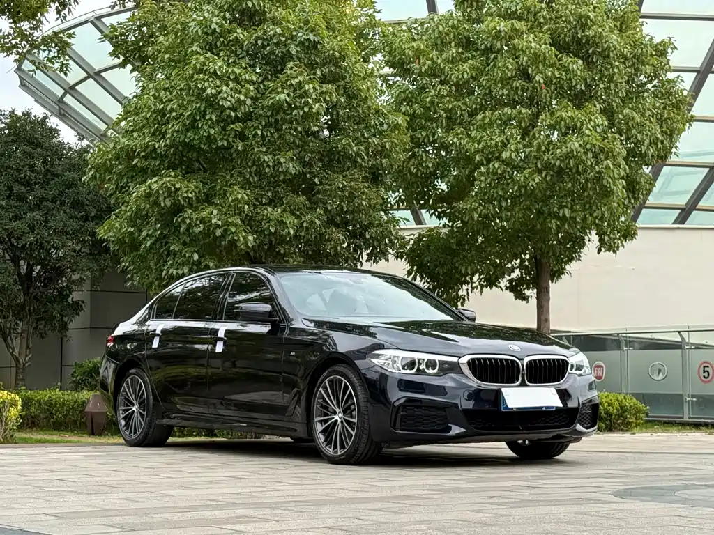 BMW 5 Series — миниатюра 3
