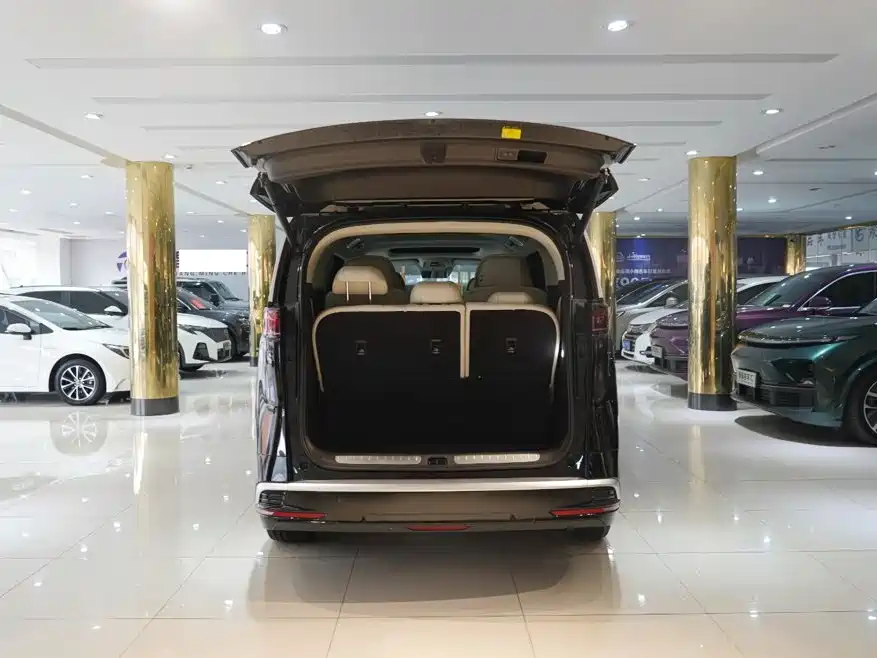 Denza Denza D9 — миниатюра 7