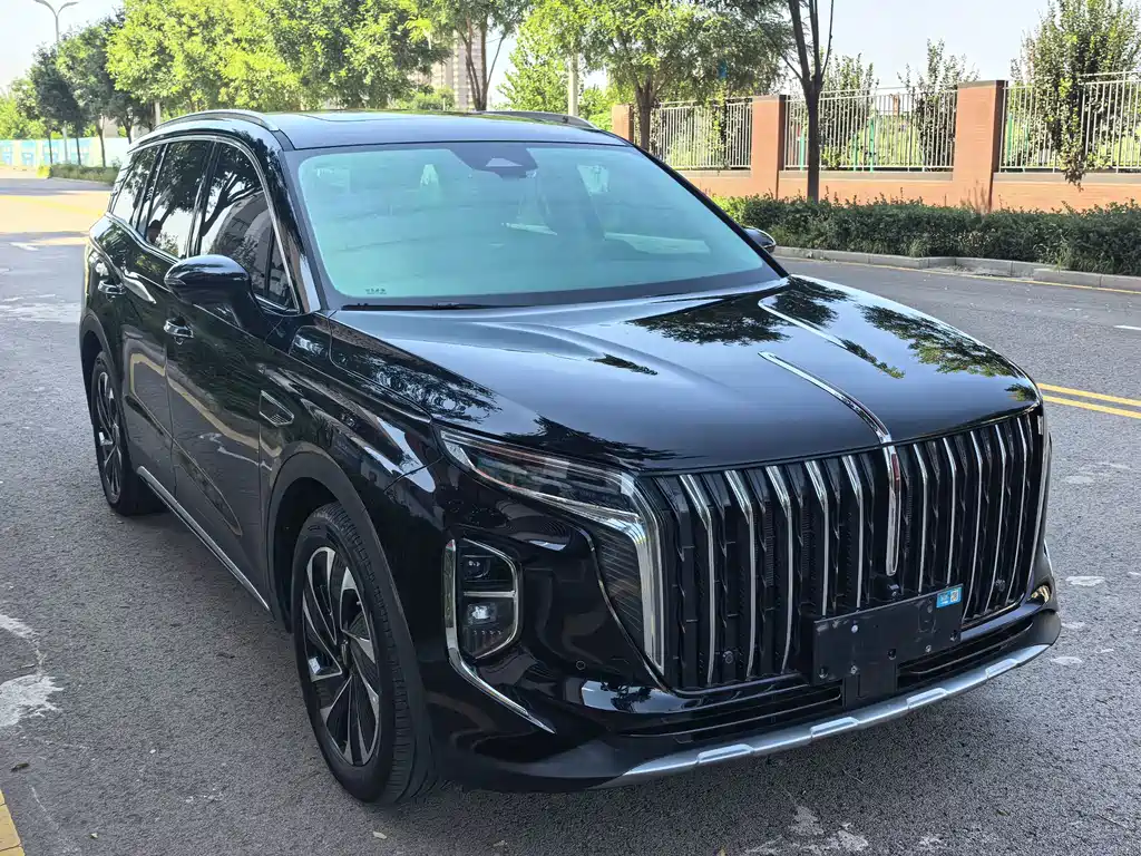 Hongqi Hongqi HS7 PHEV — миниатюра 3