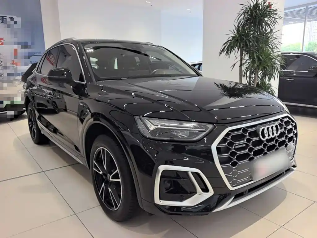 Audi Q5L — миниатюра 4
