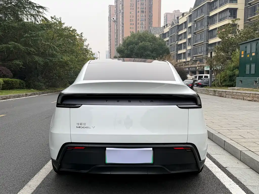 Tesla Model Y — миниатюра 5