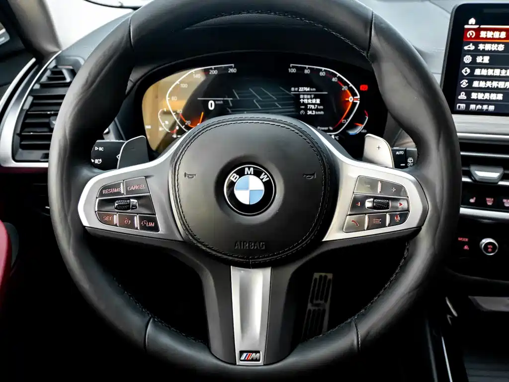 BMW X3 — миниатюра 17