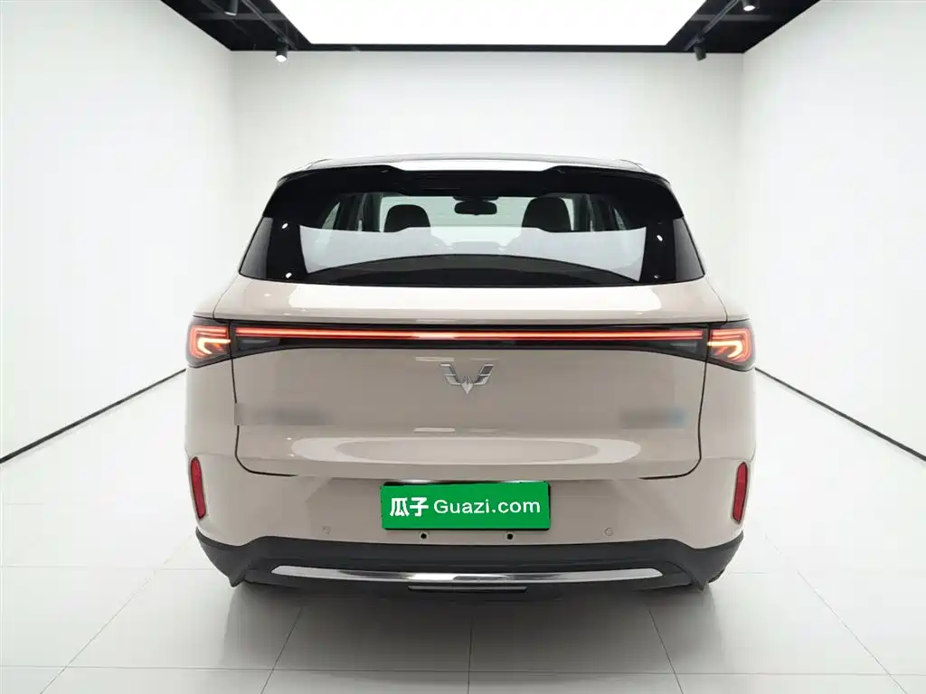 Wuling BinguoS S 2025 325km Flagship