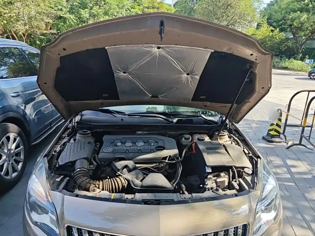 Buick Regal — миниатюра 16