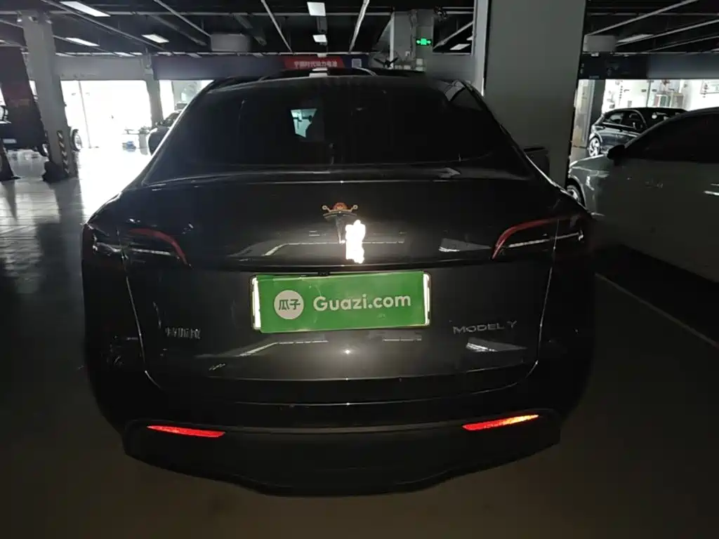 Tesla Model Y — миниатюра 6