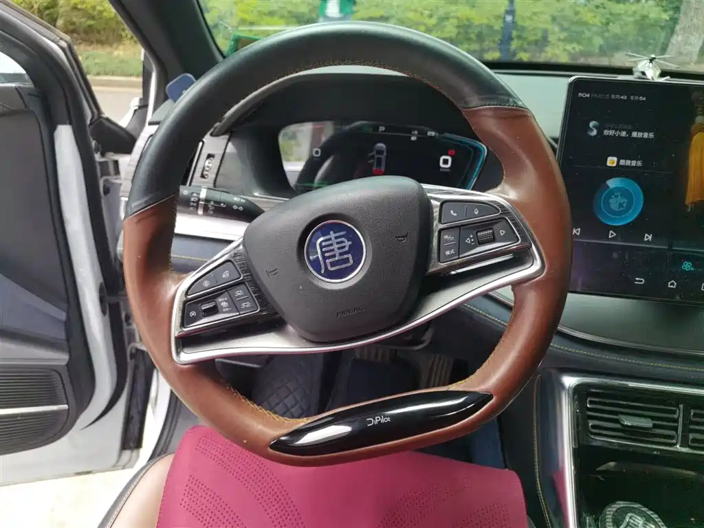 BYD Tang 2021 DM 2.0T