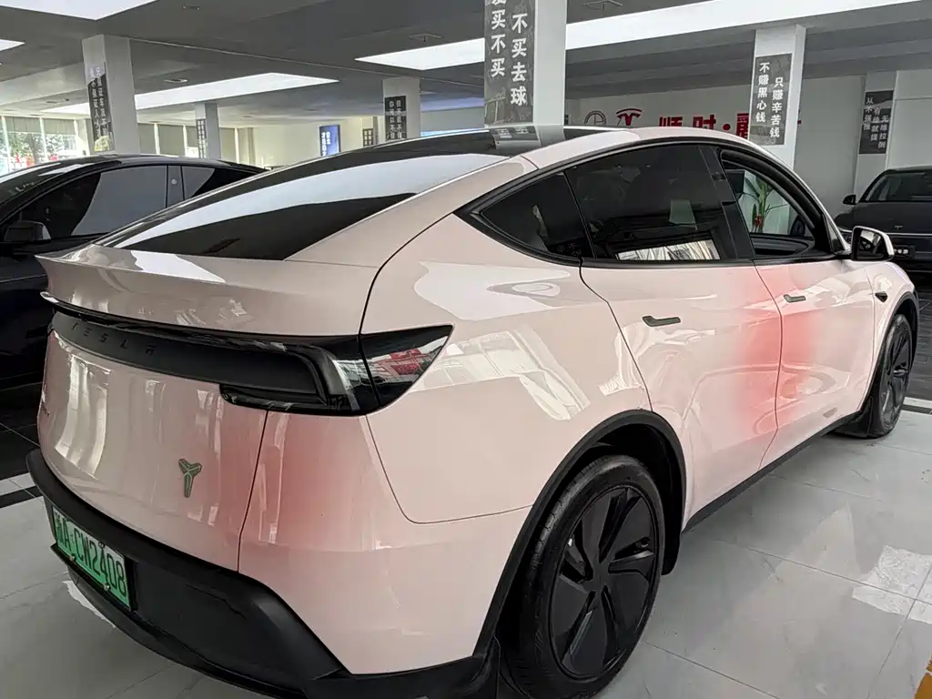 Tesla Model Y — миниатюра 9