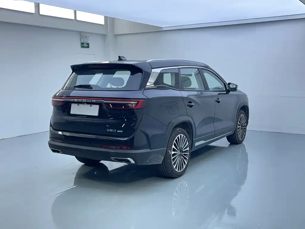 Shanhai Shanhai L9 — миниатюра 15