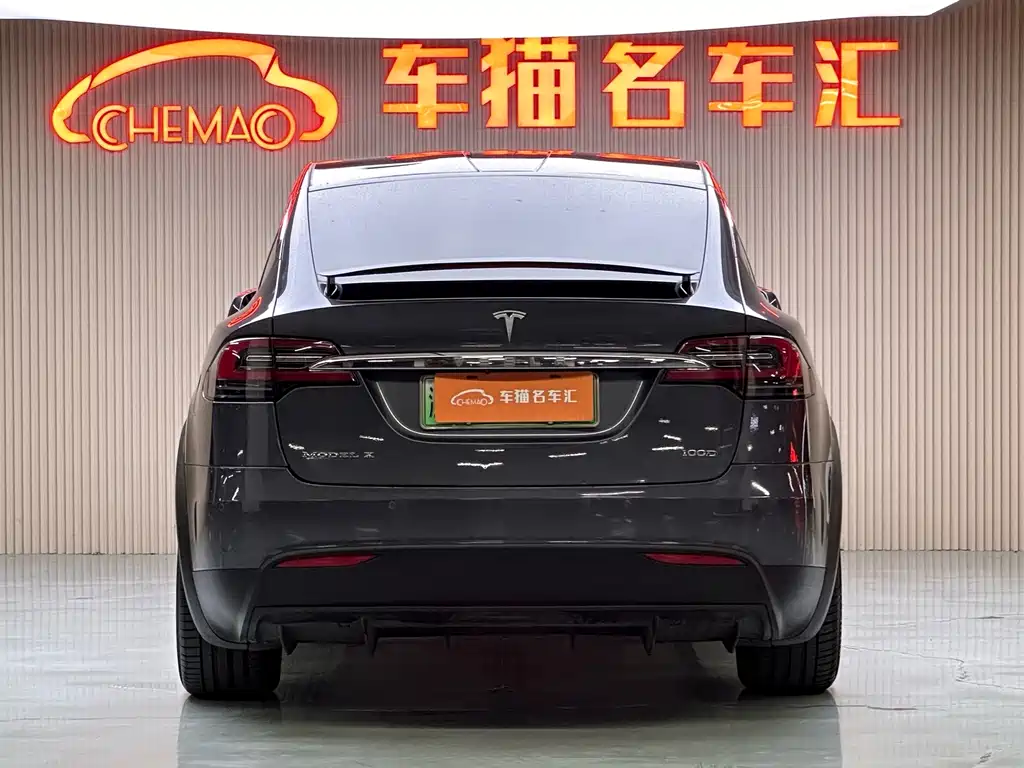 Tesla Model X — миниатюра 24