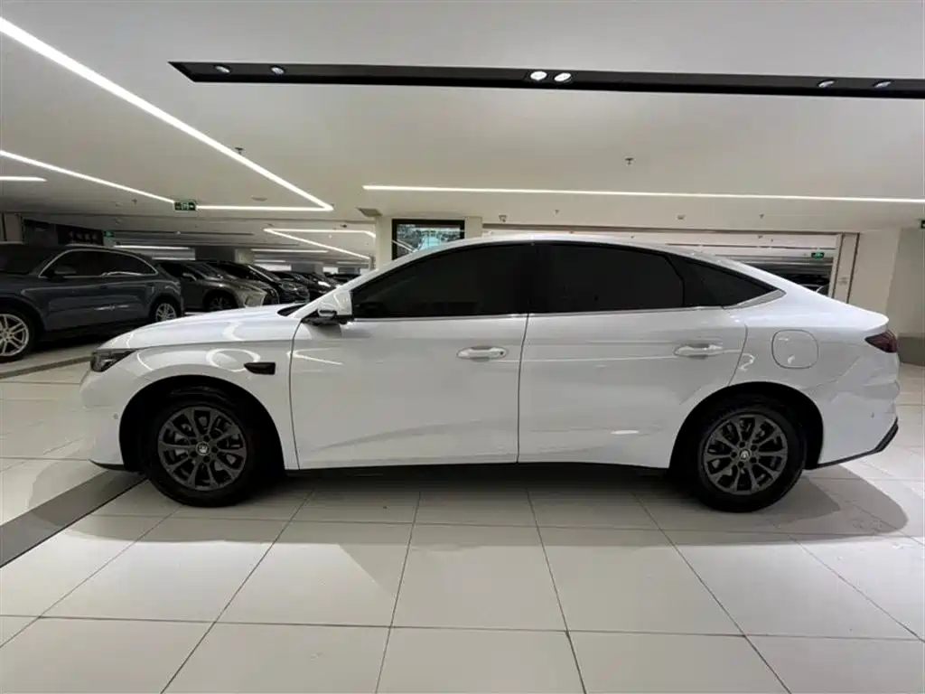 BYD Qin L L 2025 DM-i Smart Drive 80KM Lead