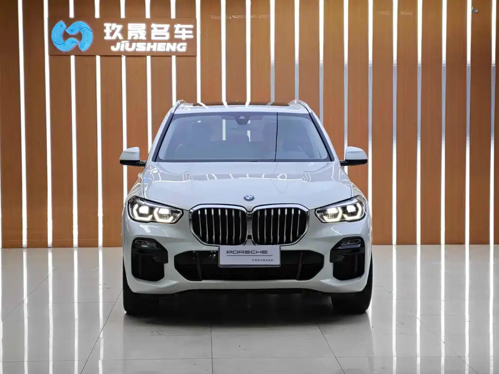 BMW X5 (Import) — миниатюра 2
