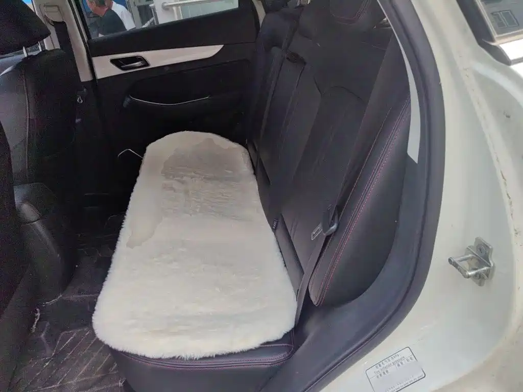 BAIC Senova X55 — миниатюра 18