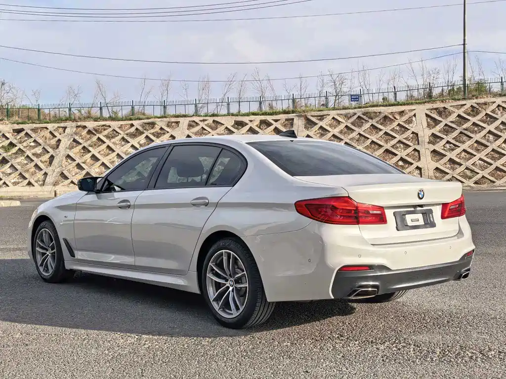 BMW 5 Series 5 2019 525Li M Sport