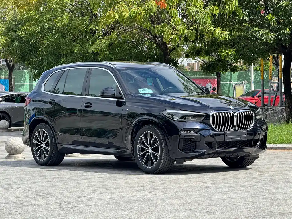 BMW X5 (Import) — миниатюра 18