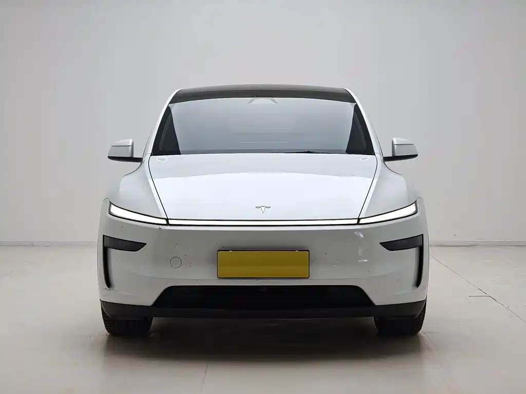 Tesla Model Y — миниатюра 2