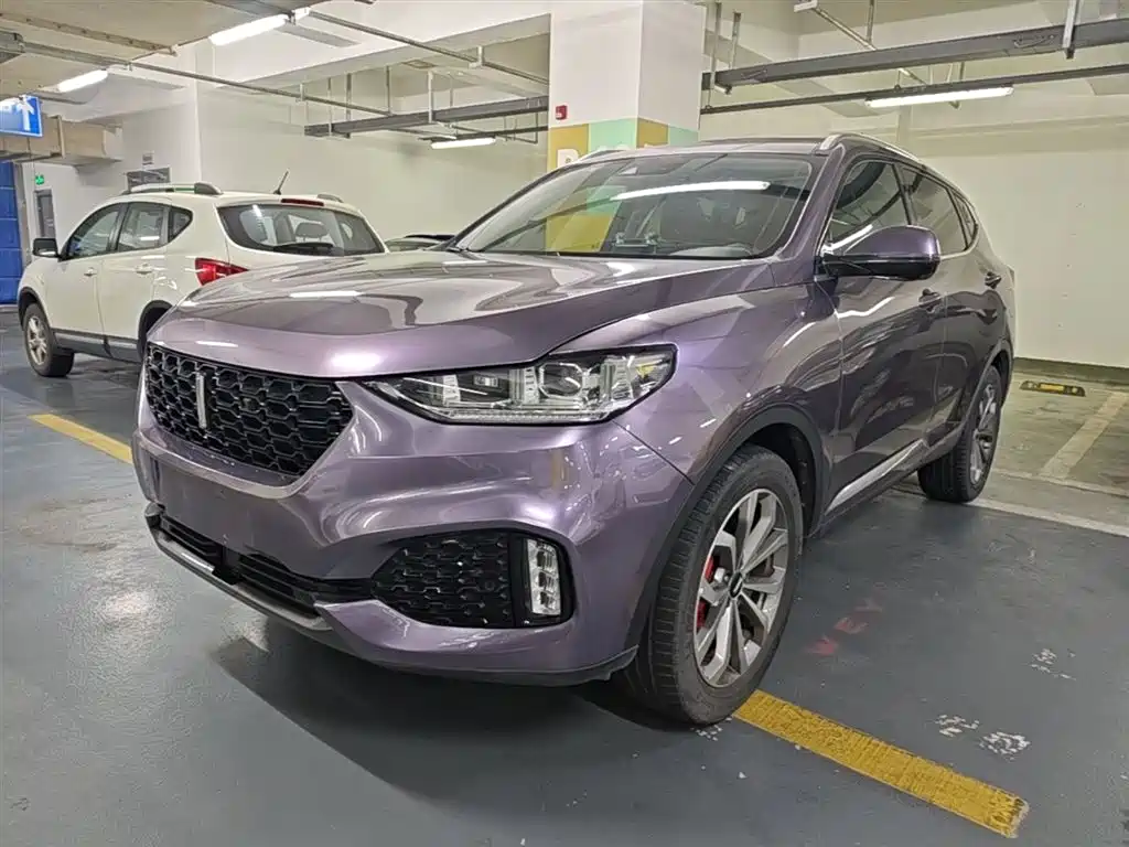 Купить Wey Wey VV6