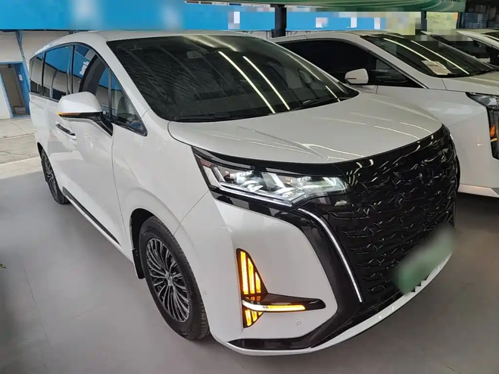 Denza Denza D9 — миниатюра 4
