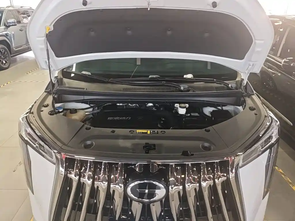 GAC Motor Trumpchi M8 — миниатюра 20