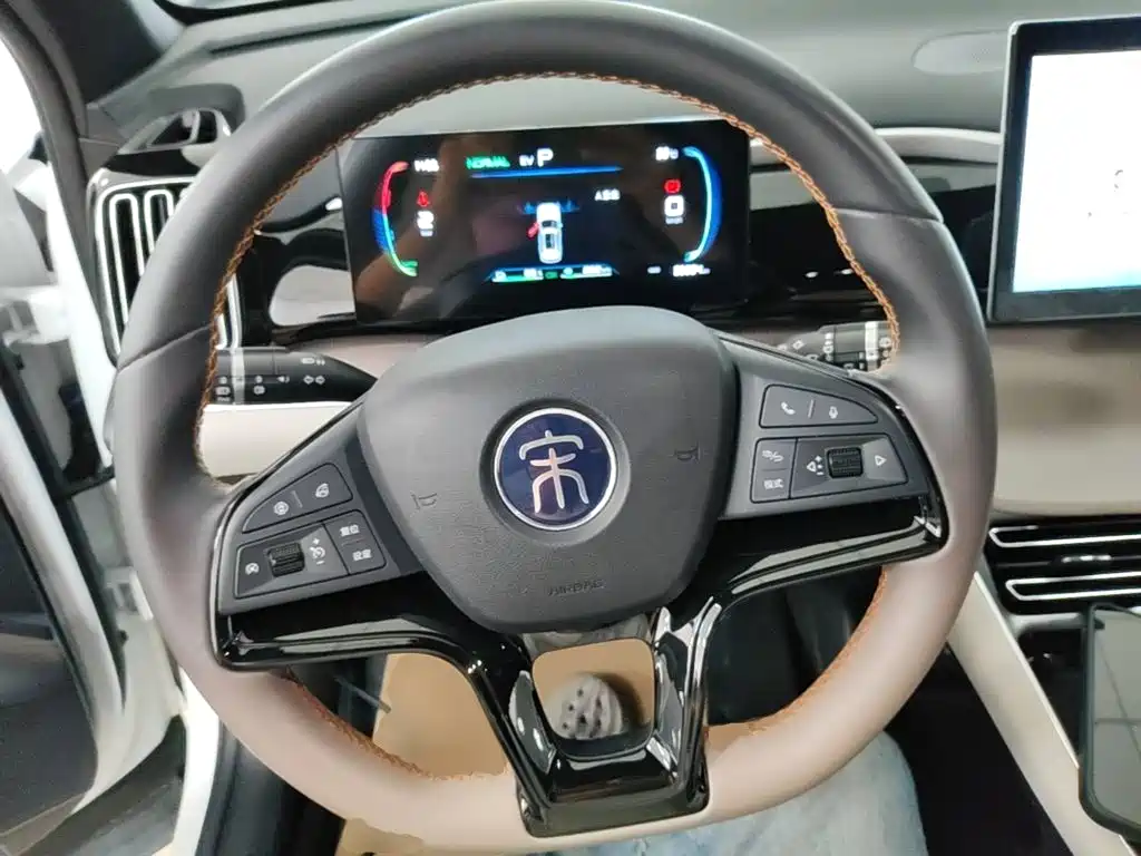 BYD Pro New Energy — миниатюра 11