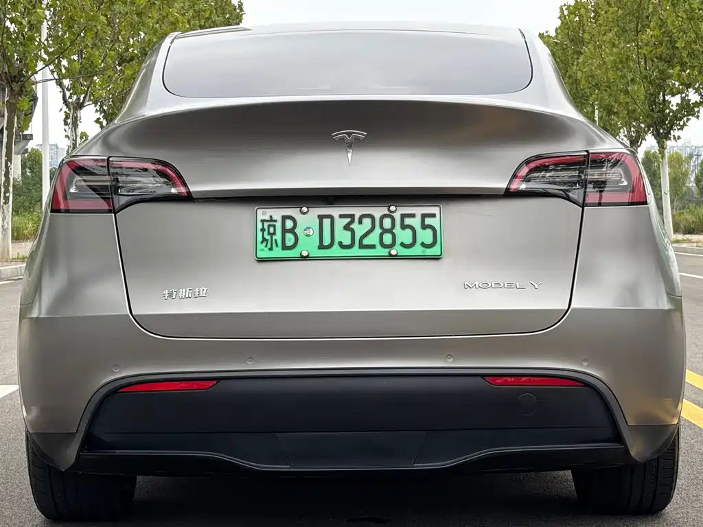 Tesla Model Y — миниатюра 6
