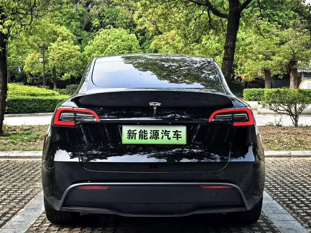 Tesla Model Y — миниатюра 4