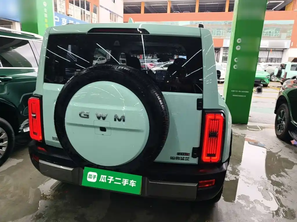 Haval Menglong New Energy — миниатюра 6