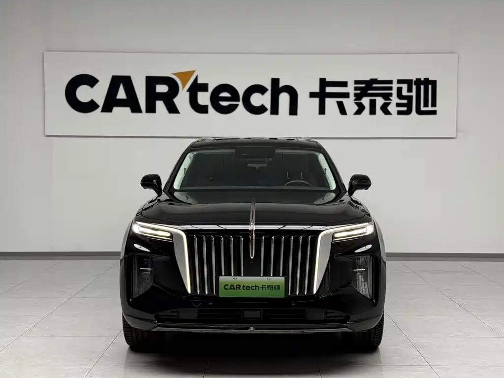 Hongqi Hongqi E-HS9 — миниатюра 3