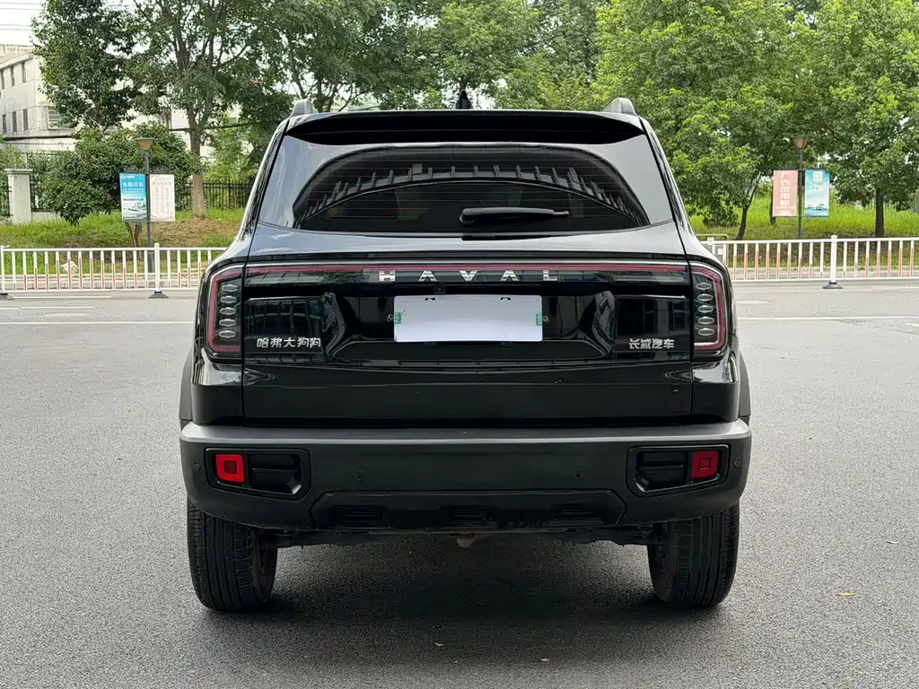 Haval Dargo 1.5T DCT Border Collie Edition, фото 6