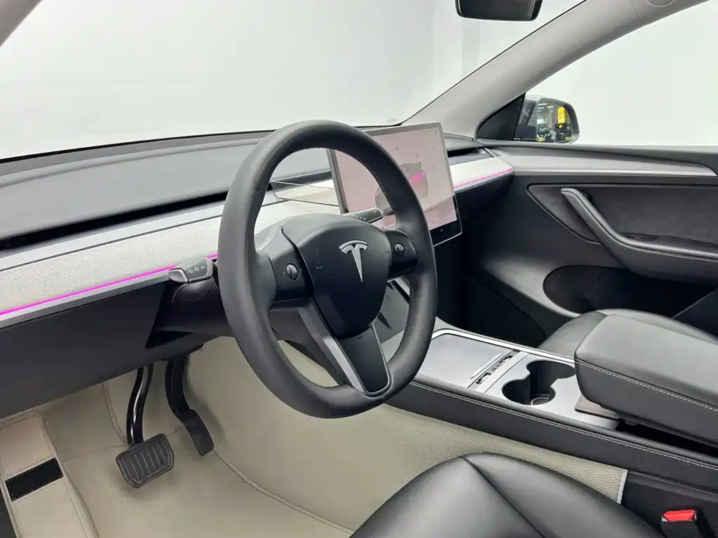 Tesla Model Y — миниатюра 14