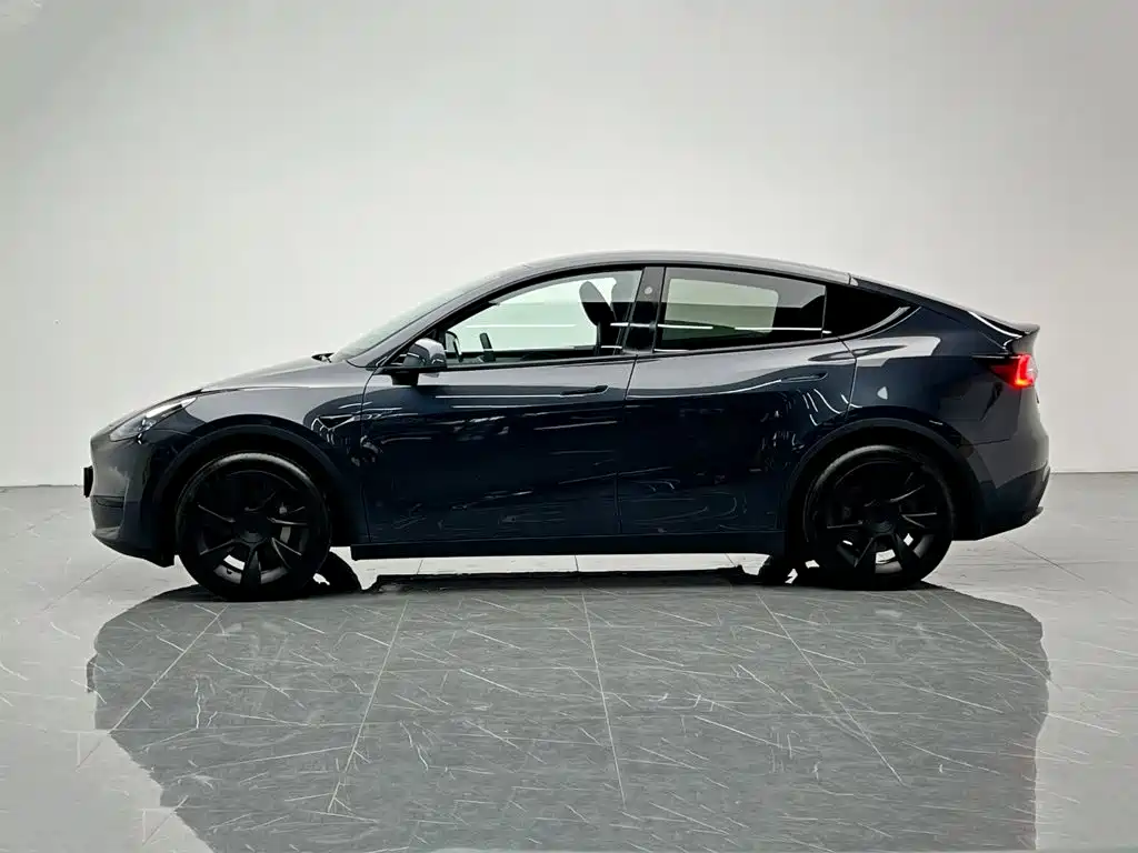 Tesla Model Y — миниатюра 3