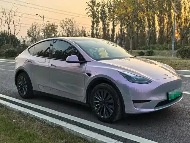 TESLA MODEL Y 2024