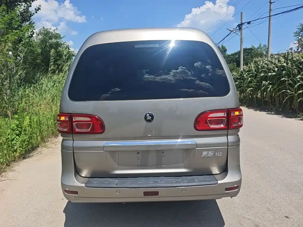 Fengxing Lingzhi — миниатюра 6
