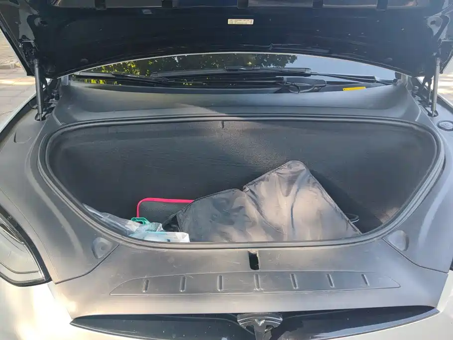 Tesla Model X — миниатюра 10