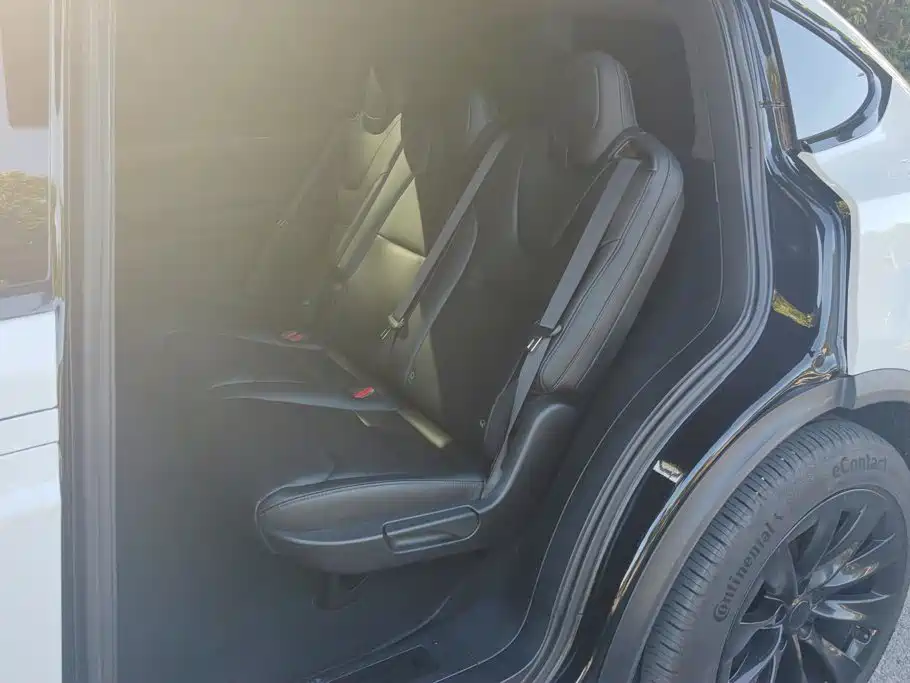 Tesla Model X — миниатюра 11