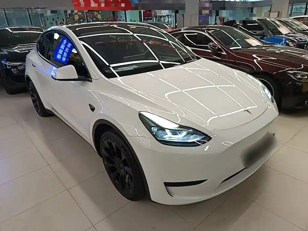 Tesla Model Y — миниатюра 4