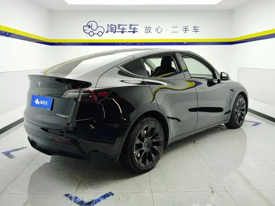 Tesla Model Y — миниатюра 3
