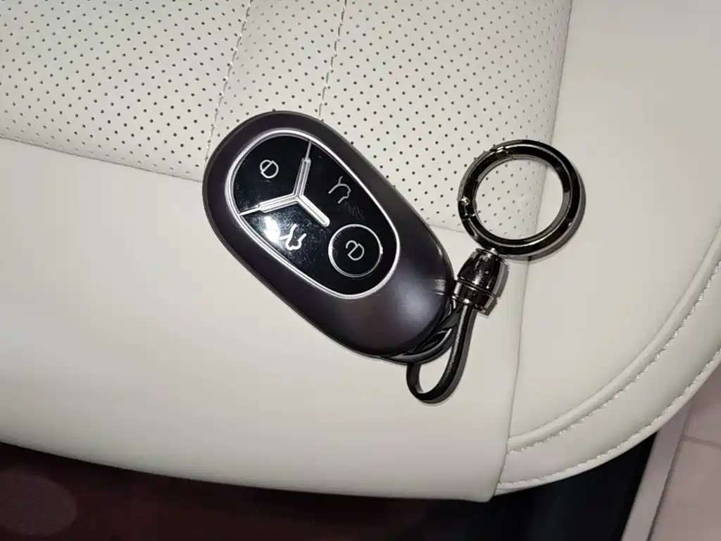 Geely Geome Xingyuan 2026 310km