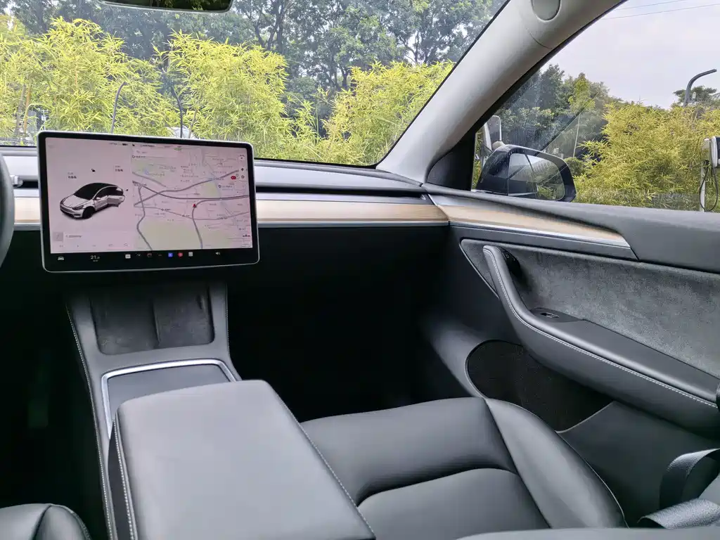 Tesla Model Y — миниатюра 15