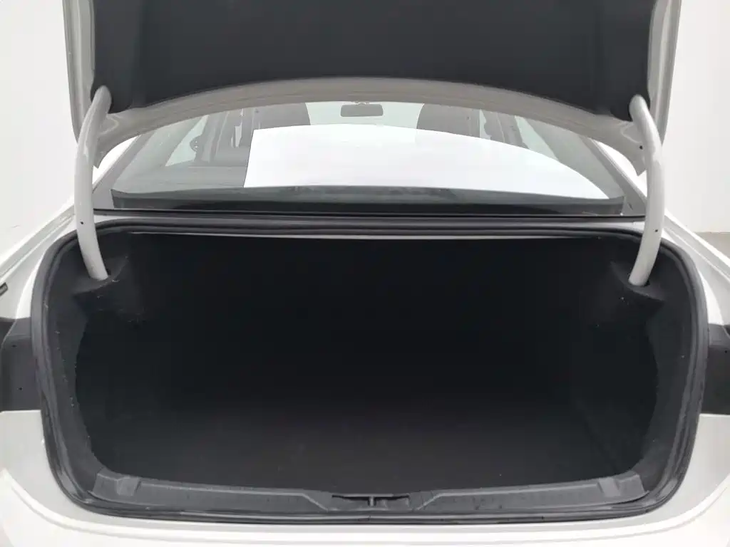 Volkswagen Lamando — миниатюра 16