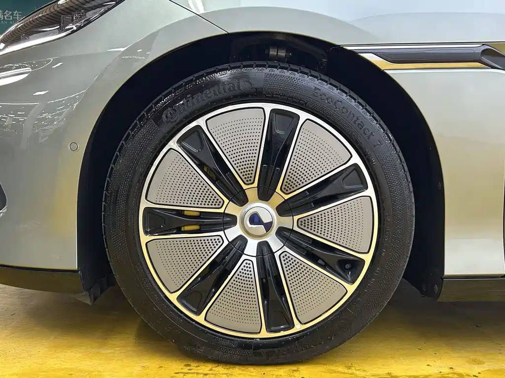 Denza Z9GT 2024 1100 Max