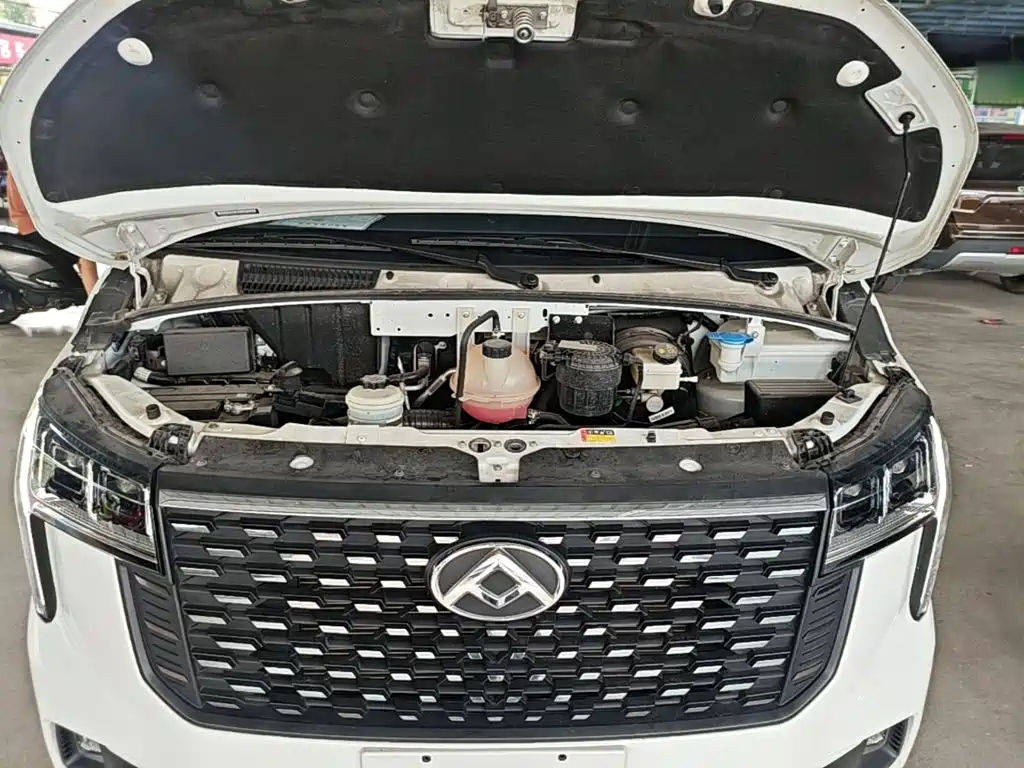 Maxus V80 — миниатюра 20