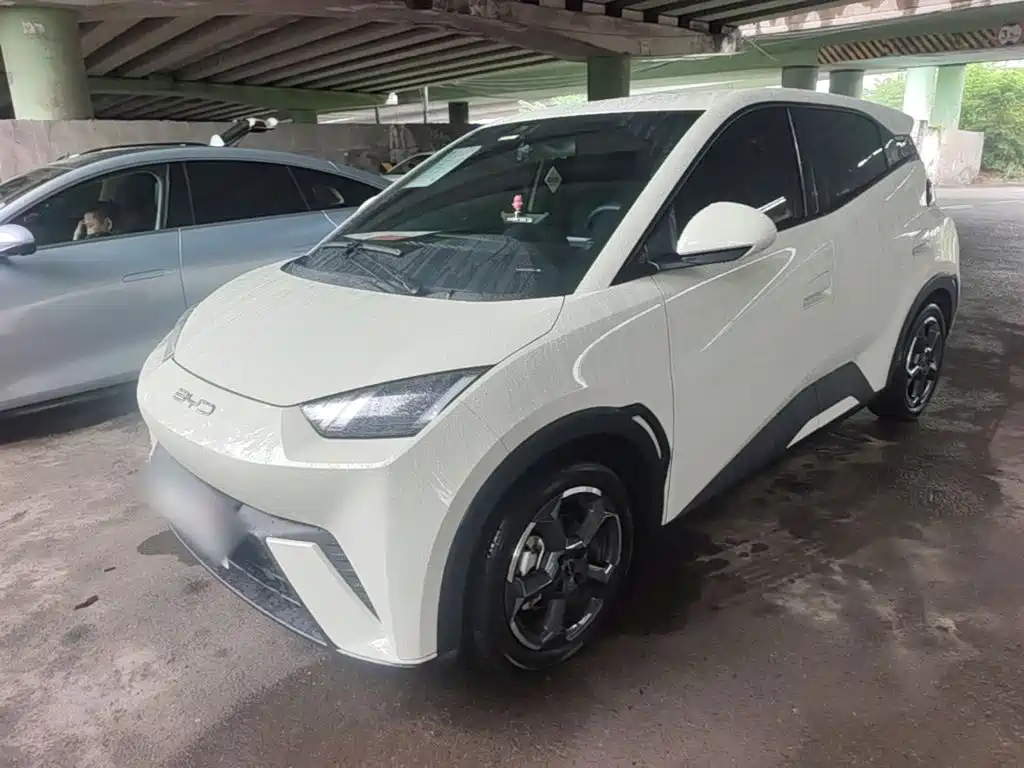 BYD Seagull