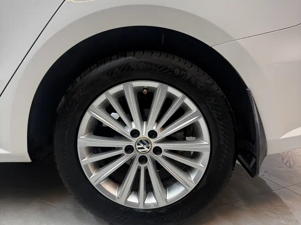 Volkswagen Gran Lavida — миниатюра 6