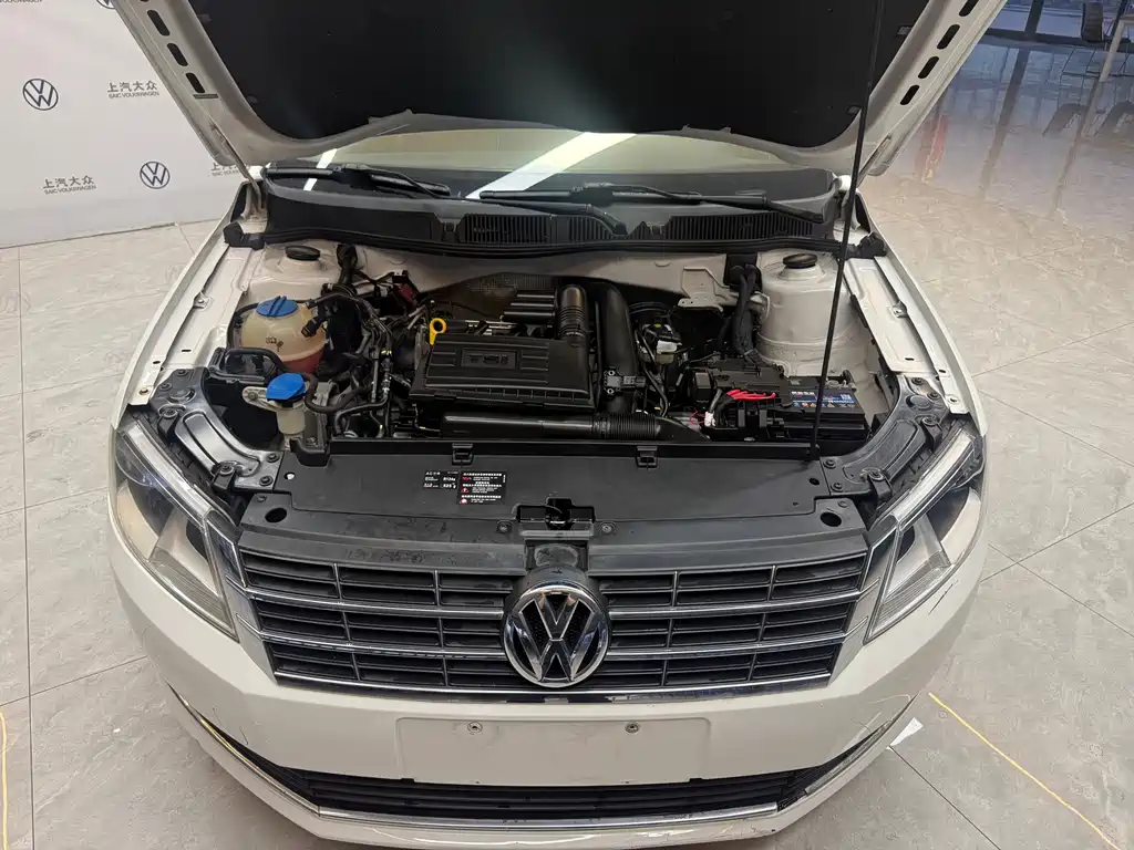 Volkswagen Gran Lavida — миниатюра 7