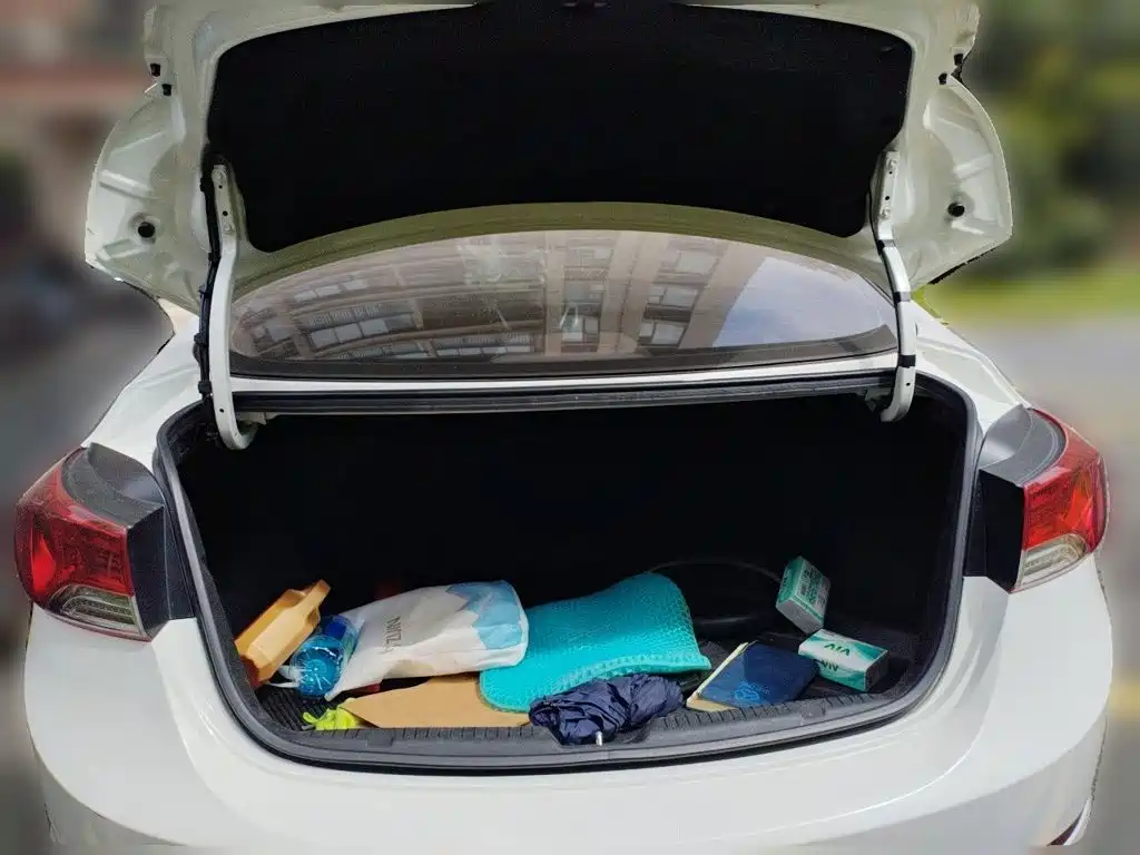 Hyundai Elantra Langdong — миниатюра 16