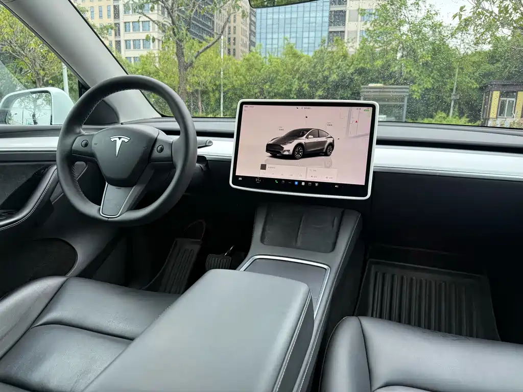 Tesla Model Y — миниатюра 6