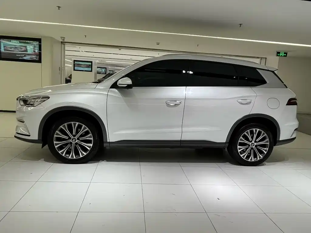 BYD Pro New Energy — миниатюра 8